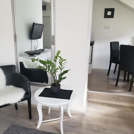 Apartmán Stan Na Dan Angel Novi Sad Pokoj fotografie