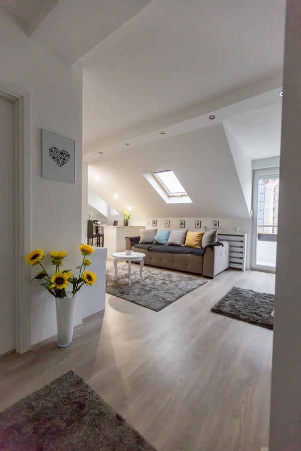 Apartmán Stan Na Dan Angel Novi Sad Exteriér fotografie