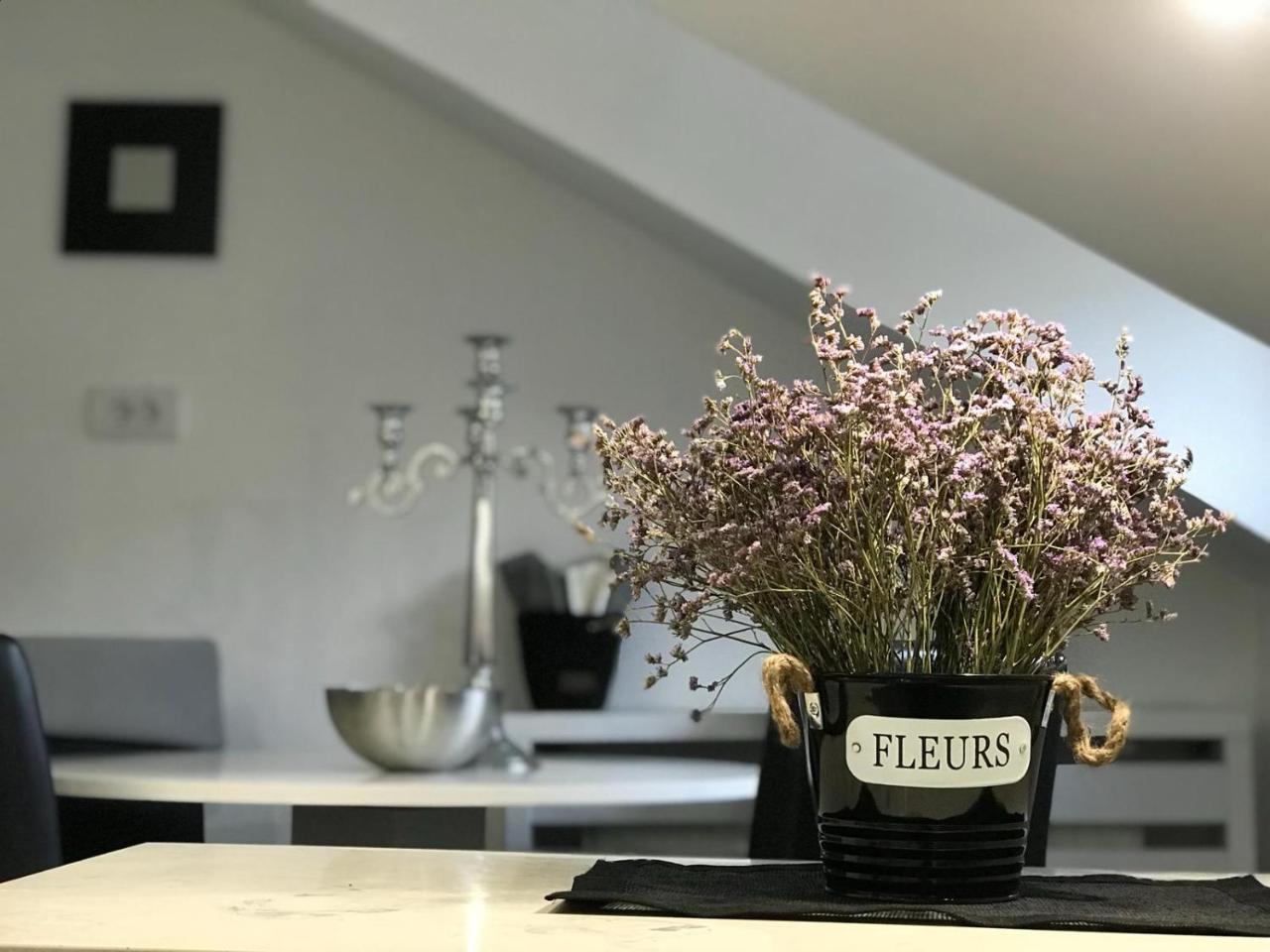 Apartmán Stan Na Dan Angel Novi Sad Exteriér fotografie
