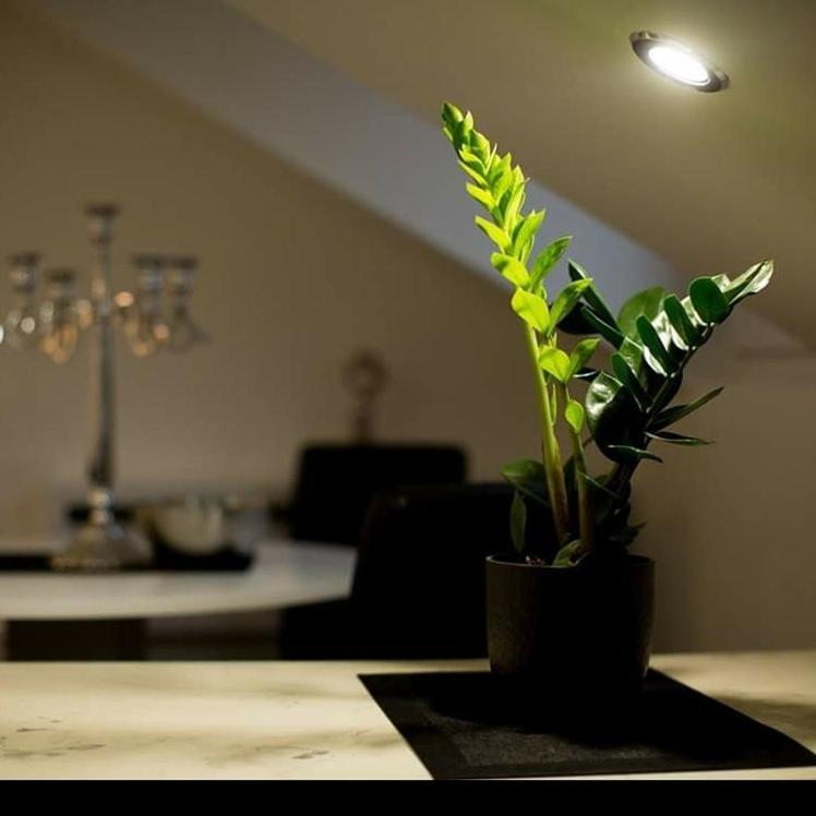 Apartmán Stan Na Dan Angel Novi Sad Exteriér fotografie