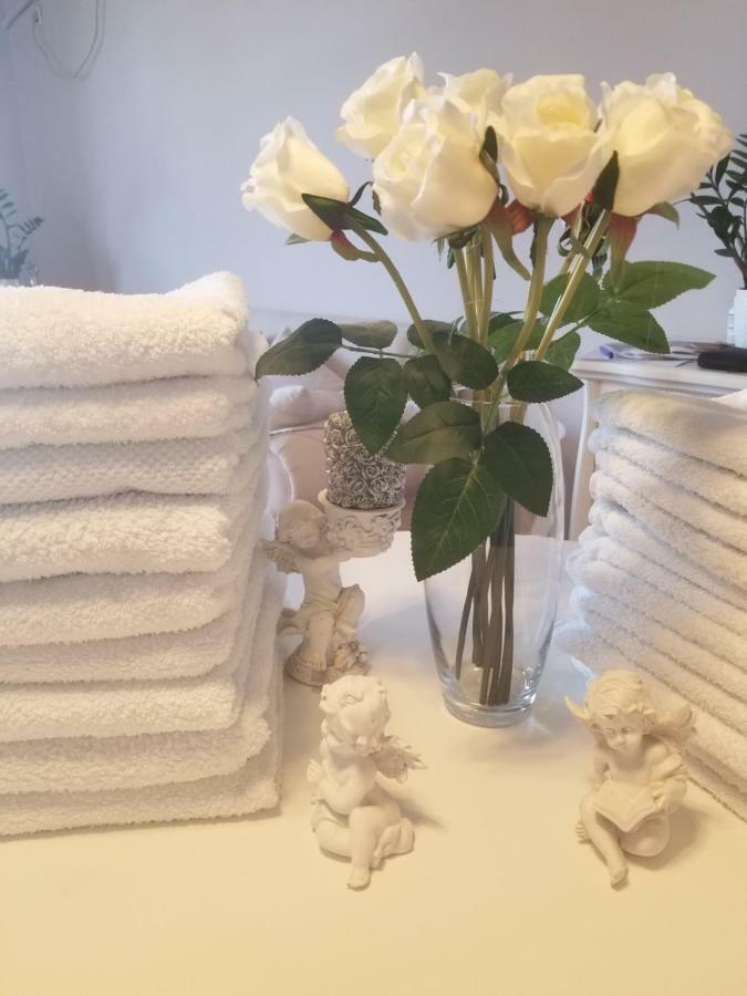 Apartmán Stan Na Dan Angel Novi Sad Exteriér fotografie