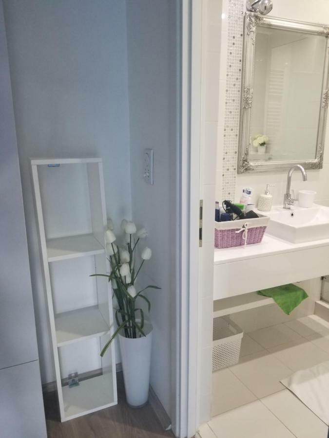 Apartmán Stan Na Dan Angel Novi Sad Exteriér fotografie